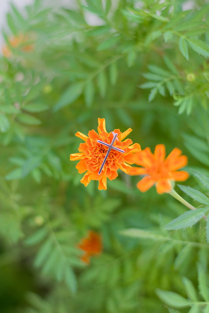 Φωτογράφος Βάπτισης Χάρης Αβραμίδης,